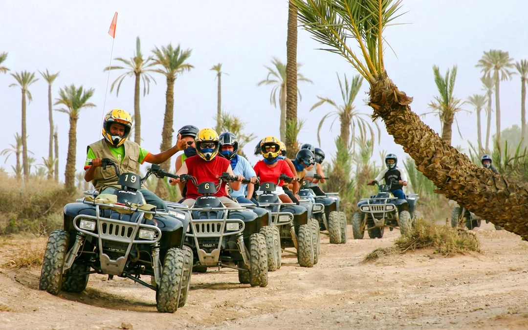 Palmeraie Camel and Quad Bike Rides with Hotel Transfers Image 4