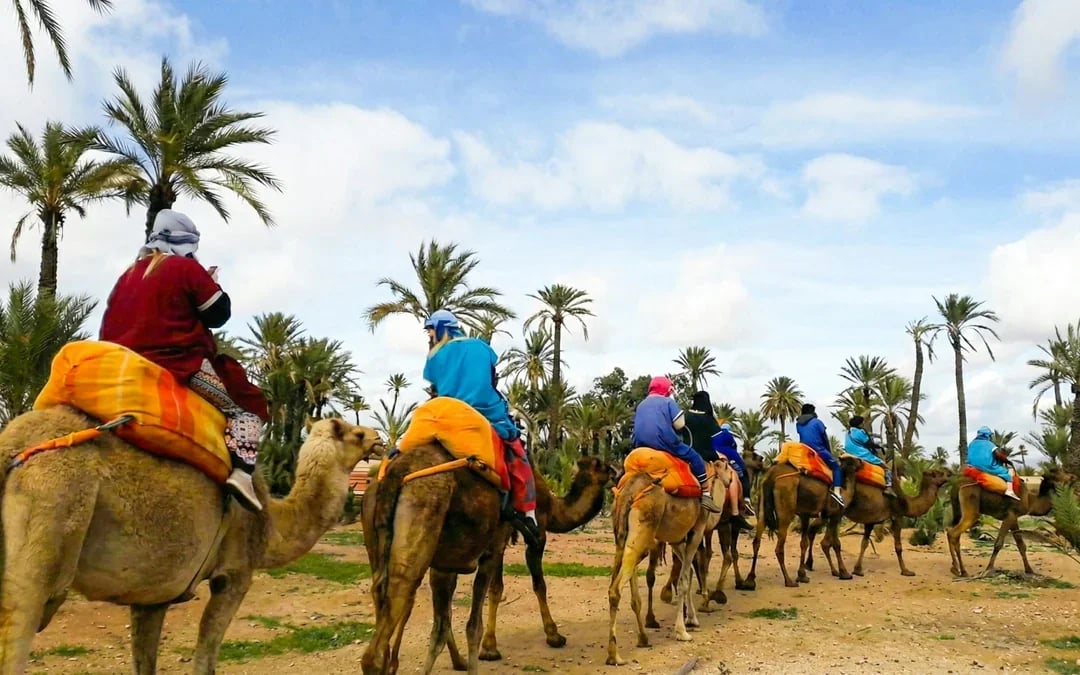 Palmeraie Camel and Quad Bike Rides with Hotel Transfers Image 7
