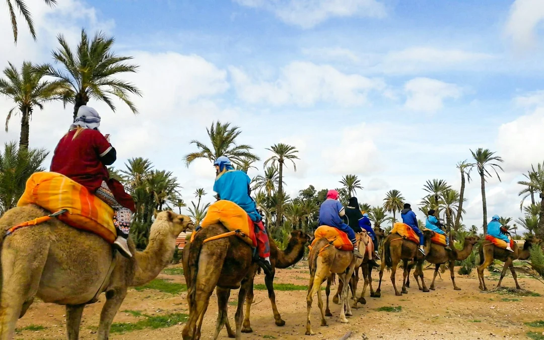 Palmeraie Camel and Quad Bike Rides with Hotel Transfers Image 7