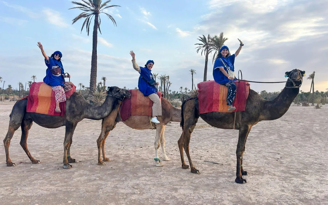 Palmeraie Camel Ride with Hotel Transfers Image 1