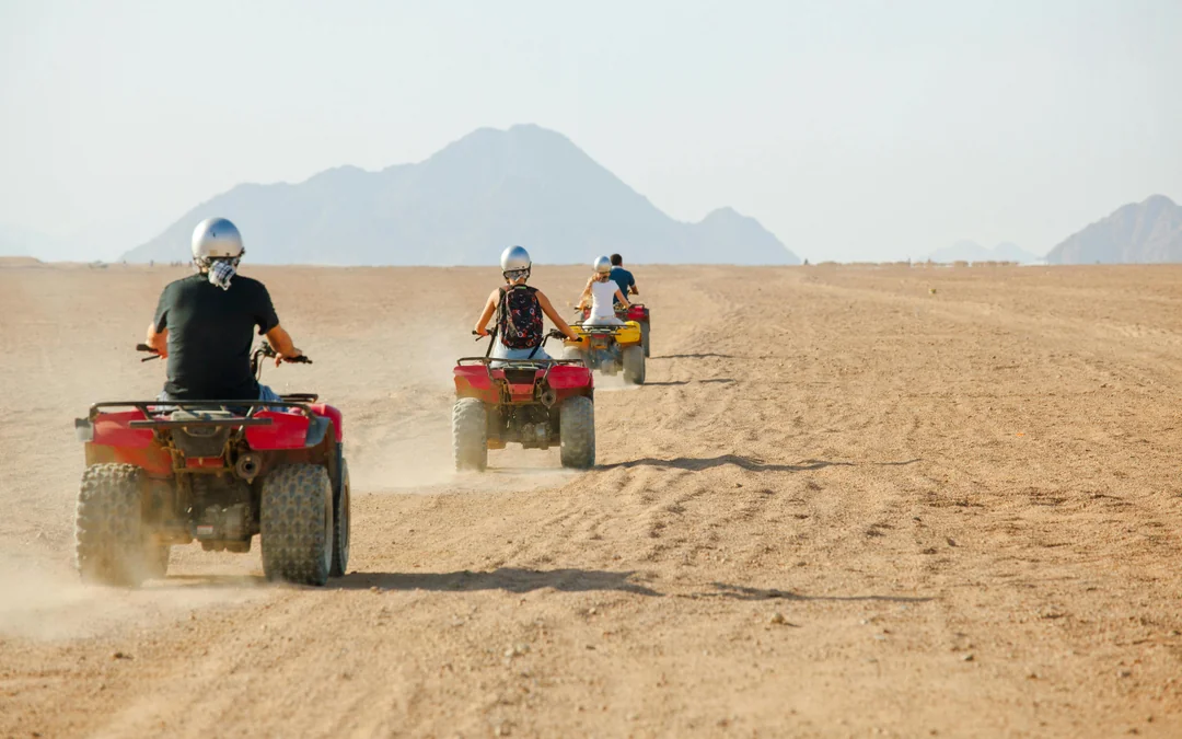 Palmeraie Quad Bike Ride with Hotel Transfers Image 4