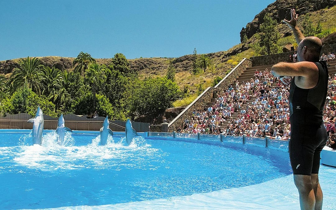 Palmitos Park Gran Canaria 1-Day Entry Ticket Image 1