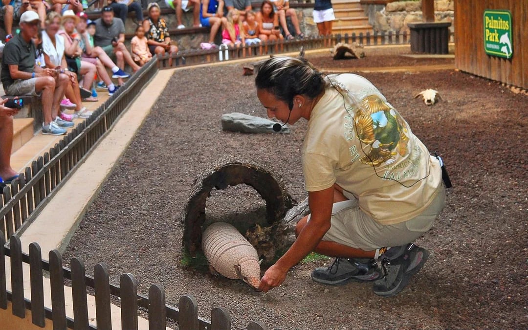 Palmitos Park Gran Canaria 1-Day Entry Ticket Image 4