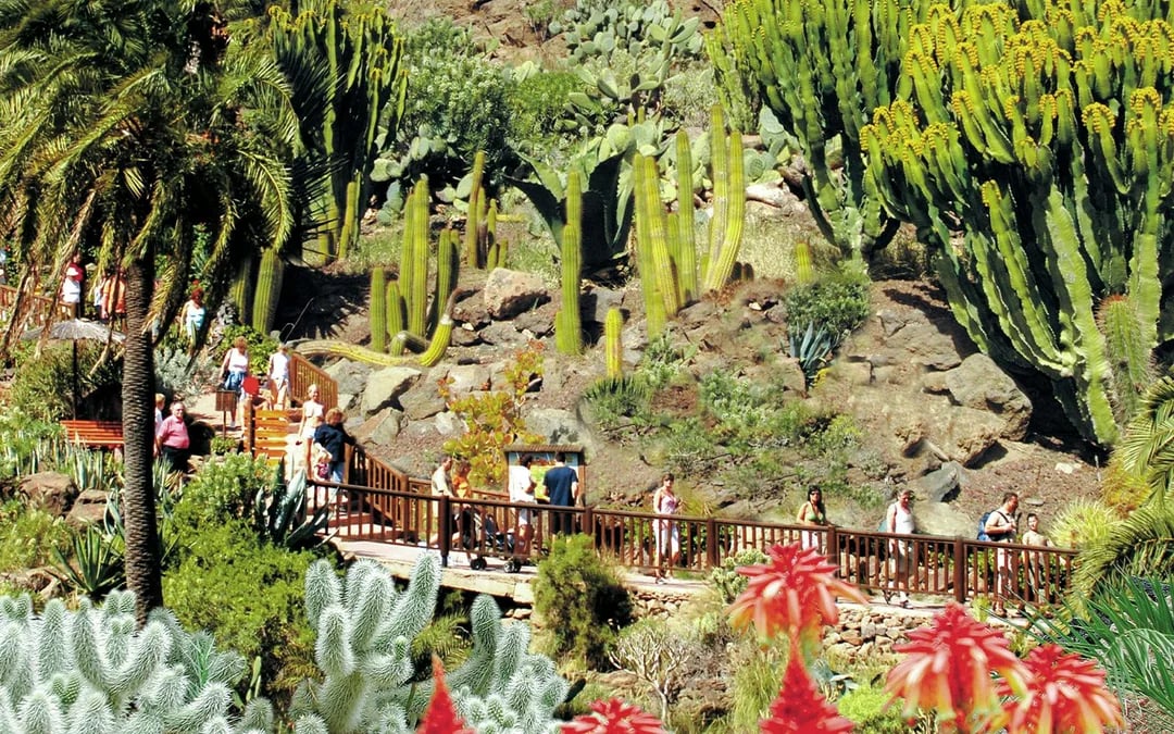 Palmitos Park Gran Canaria 1-Day Entry Ticket Image 6
