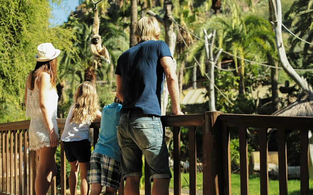 Palmitos Park Gran Canaria 1-Day Entry Ticket Image 8