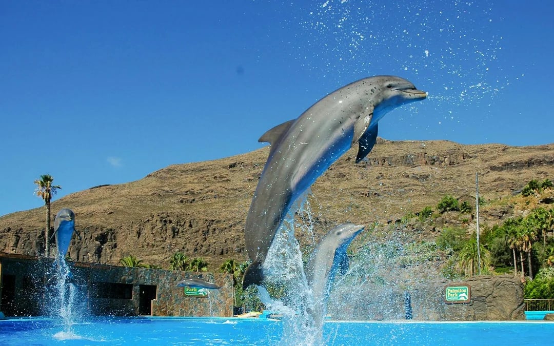 Palmitos Park Gran Canaria 1-Day Entry Ticket Image 9