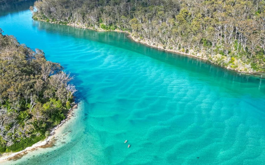Pambula River Kayak Tour Image 2