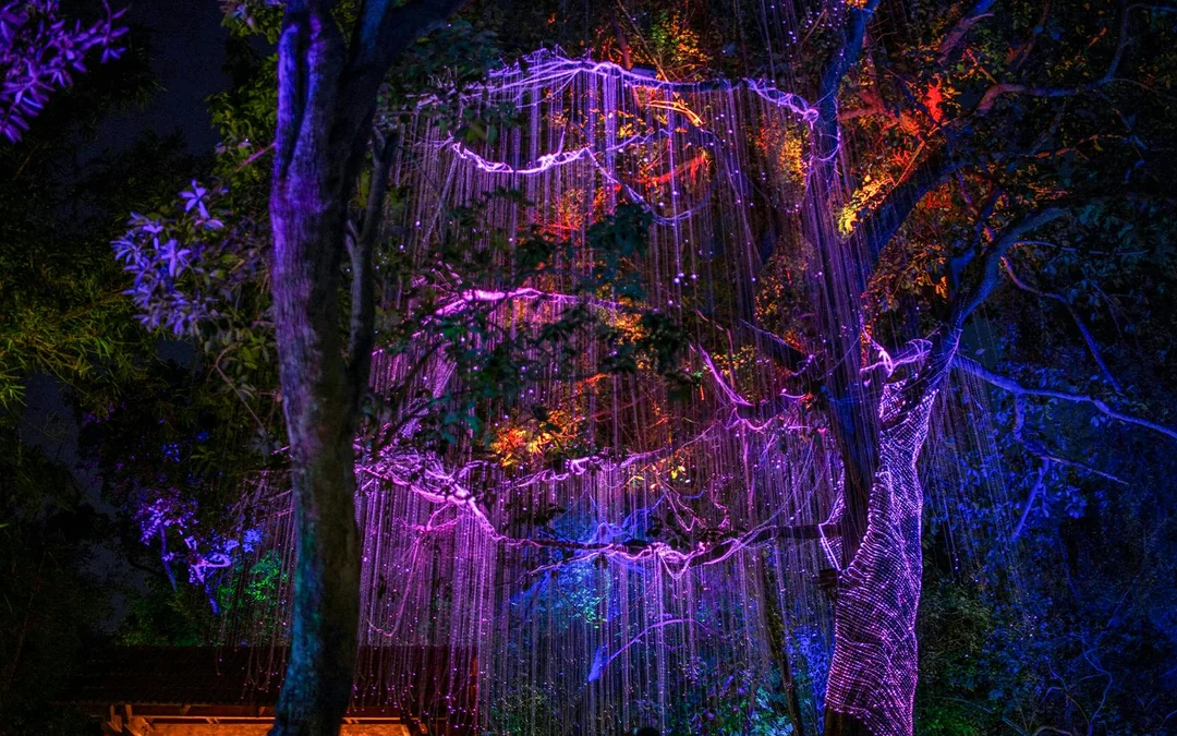 Pandora – The World of Avatar 1-Day Ticket Image 9