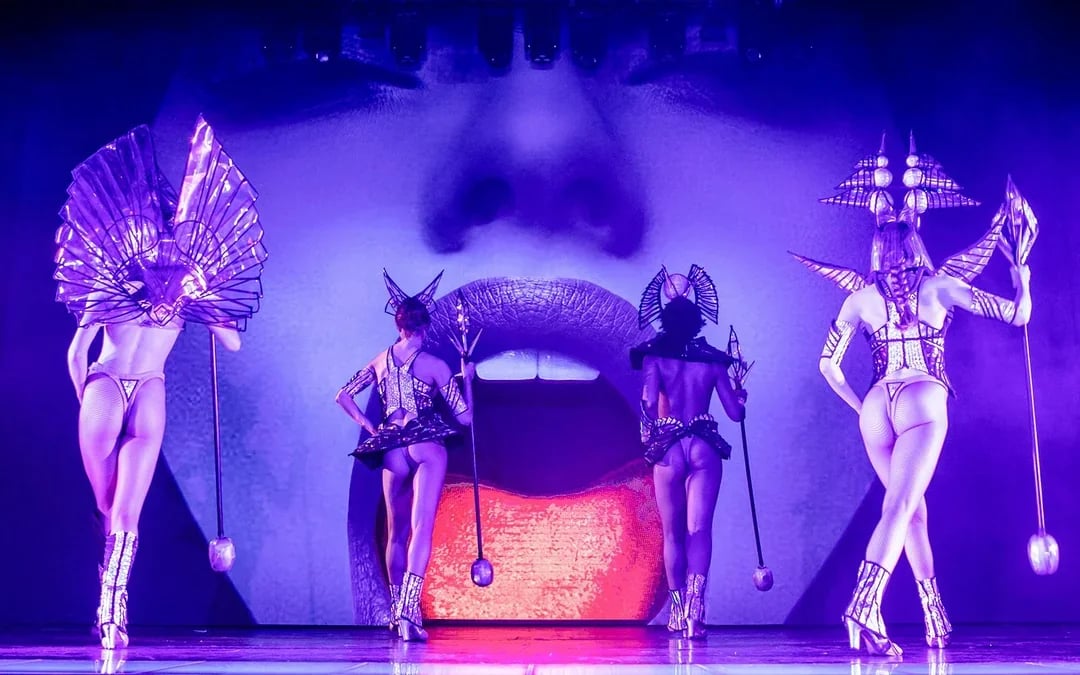 Paradis Latin Show with Lunch and Champagne Image 6
