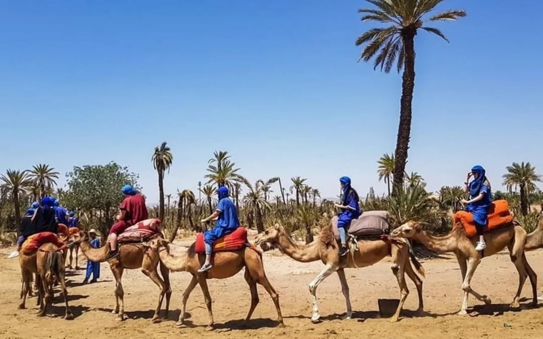 Paragliding Adventure over the Atlas Mountains & Lake - Marrakesh Image 9