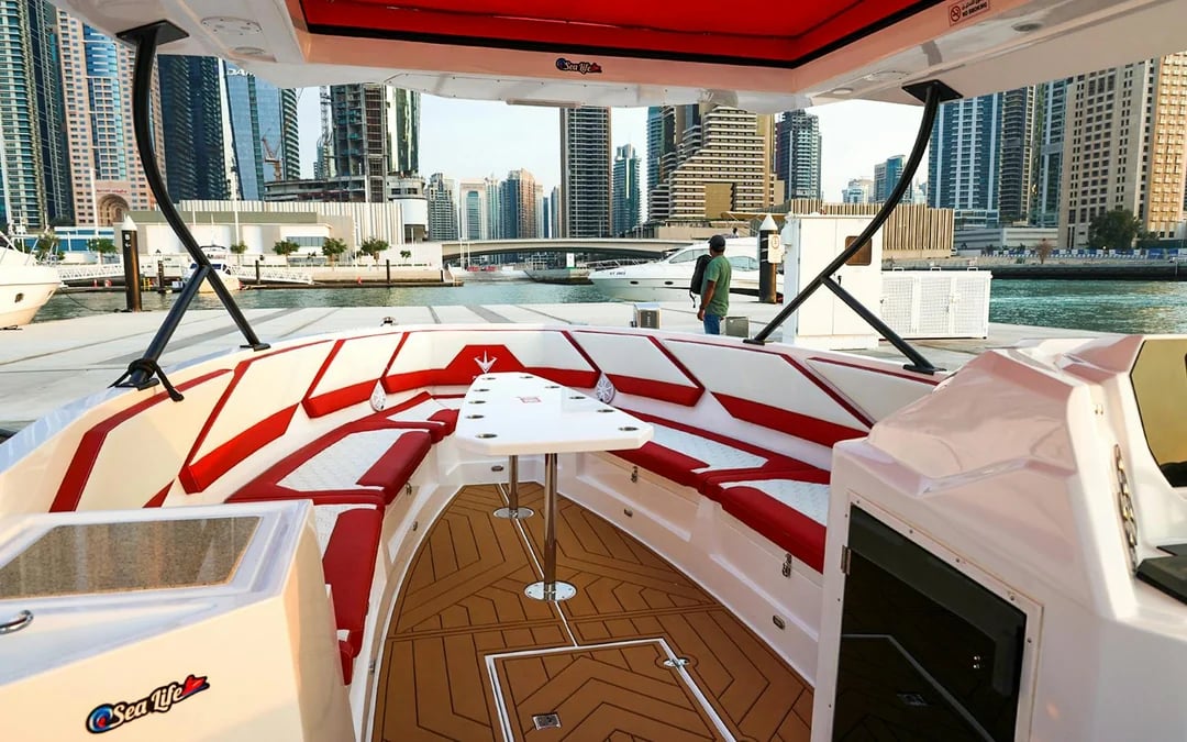 Parasailing Adventure in Dubai Image 6