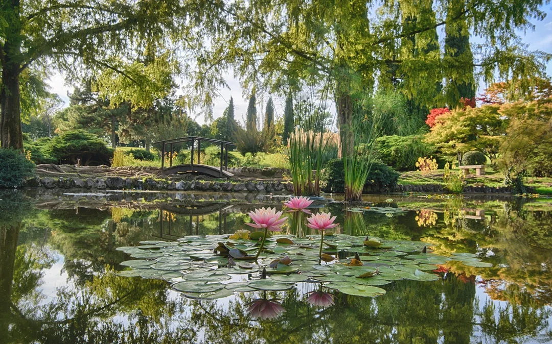 Parco Giardino Sigurtà Skip the Line Tickets with 1-Hour Golf Cart Image 2