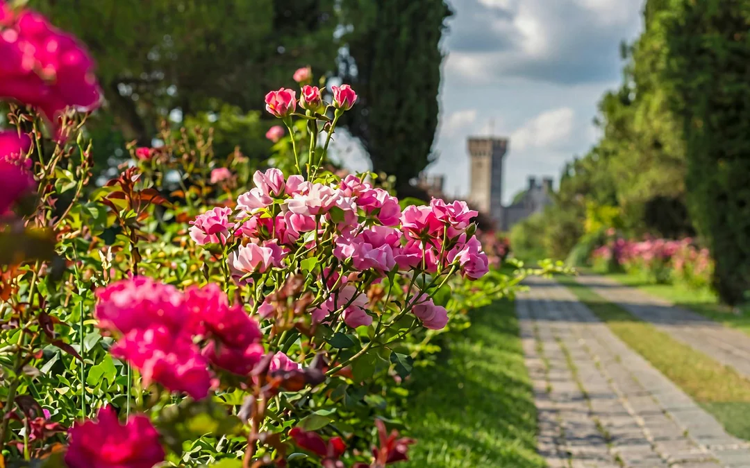 Parco Giardino Sigurtà Skip the Line Tickets with 1-Hour Golf Cart Image 4