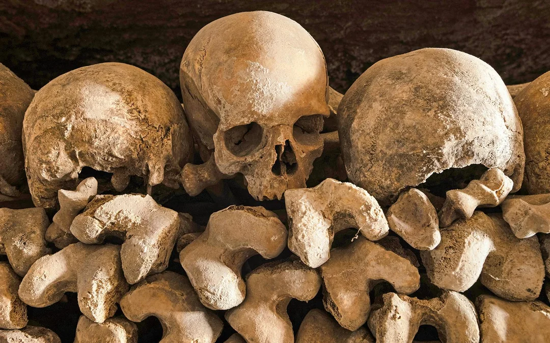 Paris Catacombs Reserved Access Tickets Image 4
