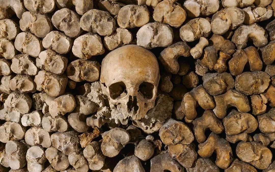Paris Catacombs Reserved Access Tickets Image 6