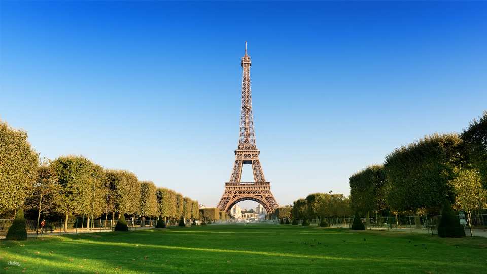 Paris Eiffel Tower with Reserved Entry Tickets: First, Second & Top Floor | optional Illuamtion Tour