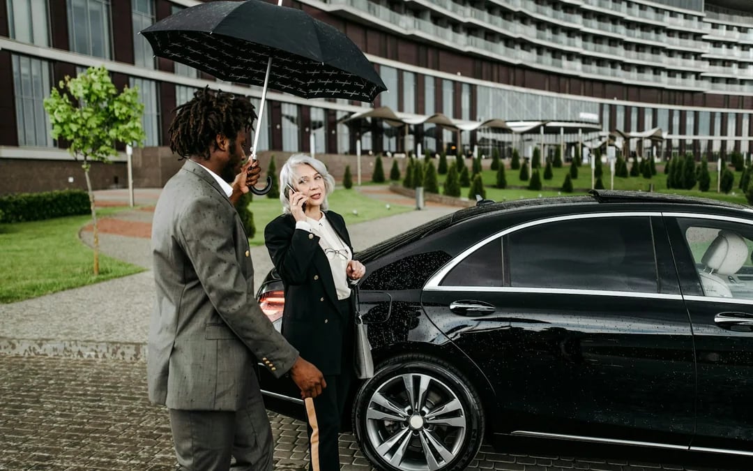Paris Private Chauffeur-Driven City Highlights Tour with Pickup and Drop-off Image 8