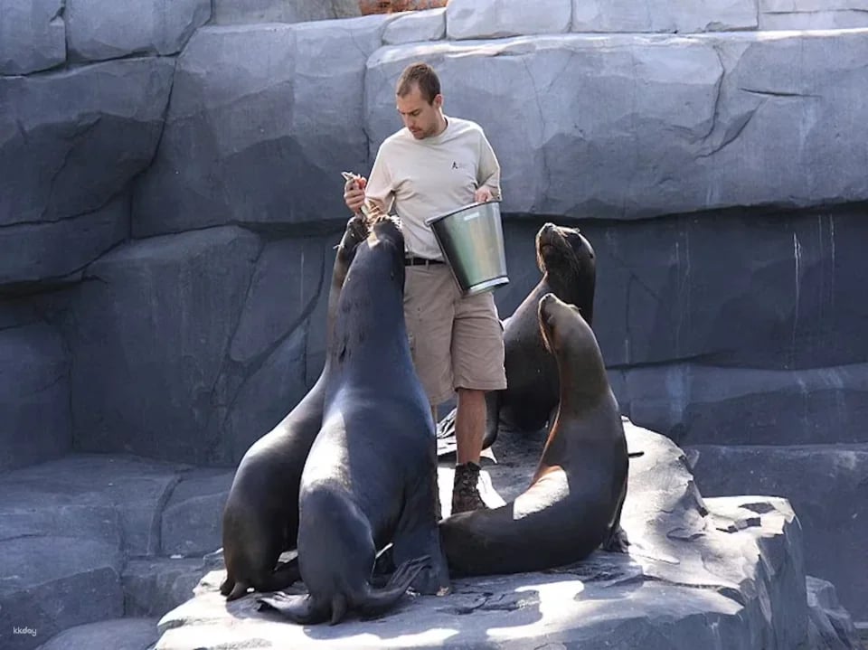Paris Zoological Park: Entry Ticket | France