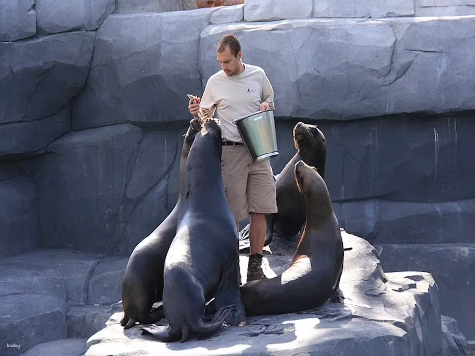Paris Zoological Park: Entry Ticket | France