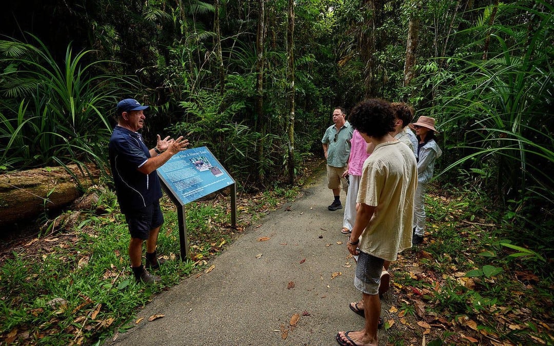 Paronella Park Cassowary Coast Guided Day and Night Tour Image 2