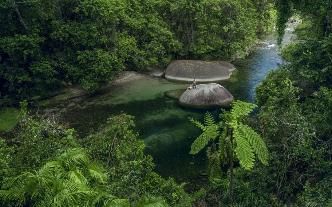 Paronella Park Cassowary Coast Guided Day and Night Tour Image 3