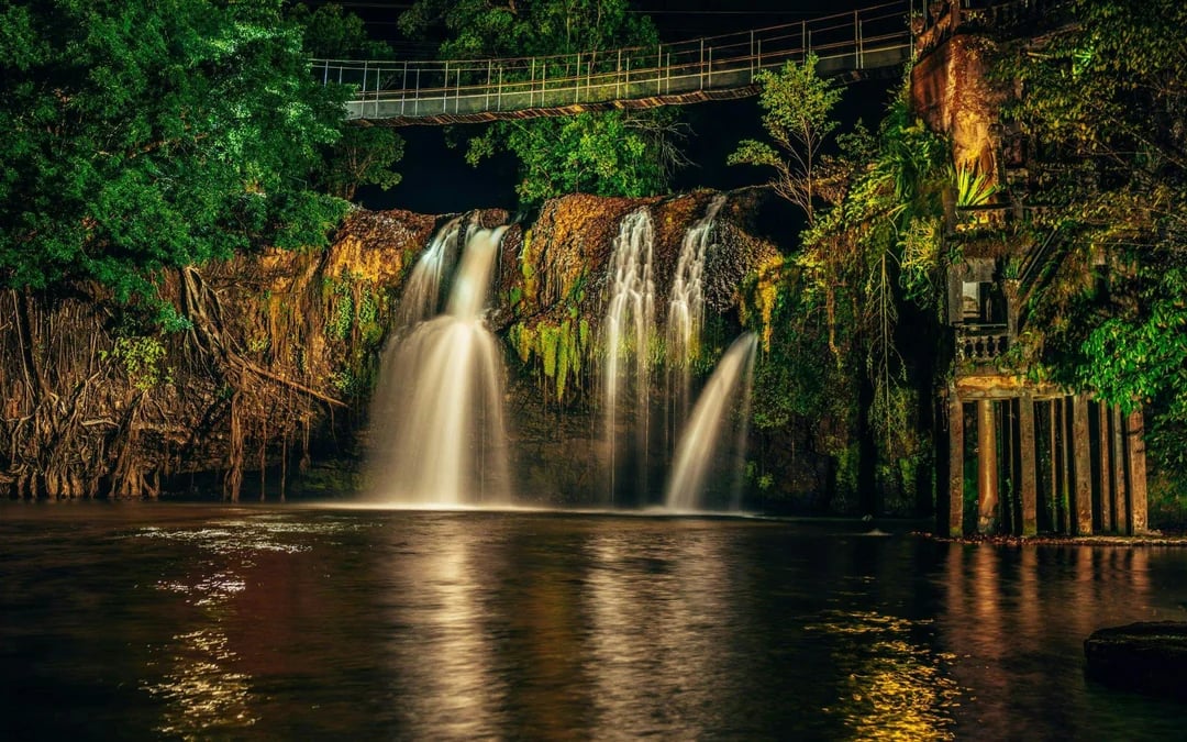 Paronella Park Cassowary Coast Guided Day and Night Tour Image 5