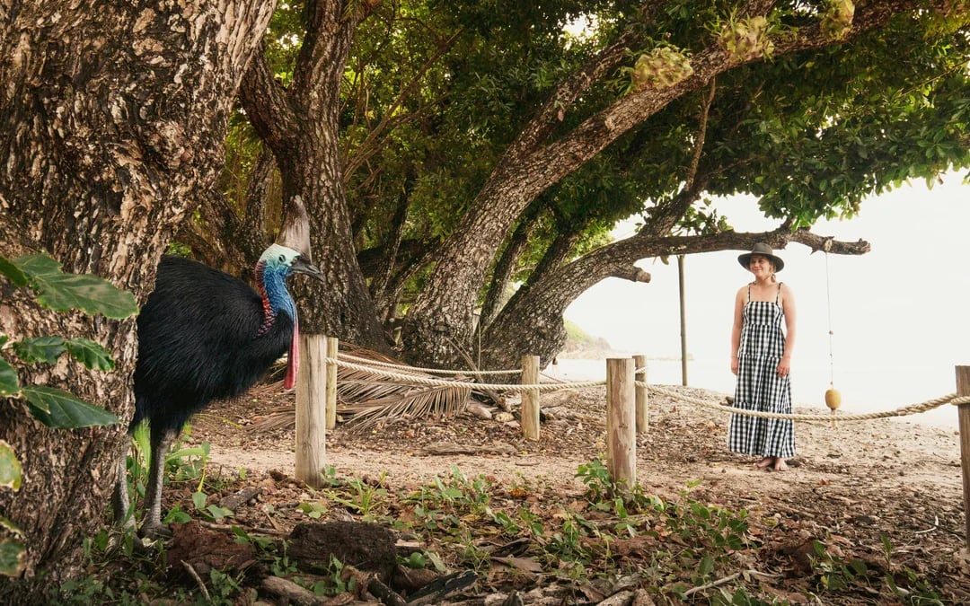 Paronella Park Cassowary Coast Guided Day and Night Tour Image 7