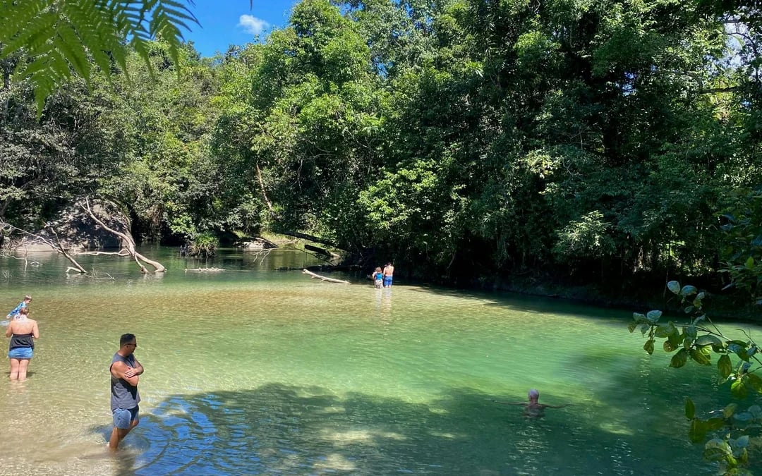 Paronella Park Cassowary Coast Guided Day and Night Tour Image 9