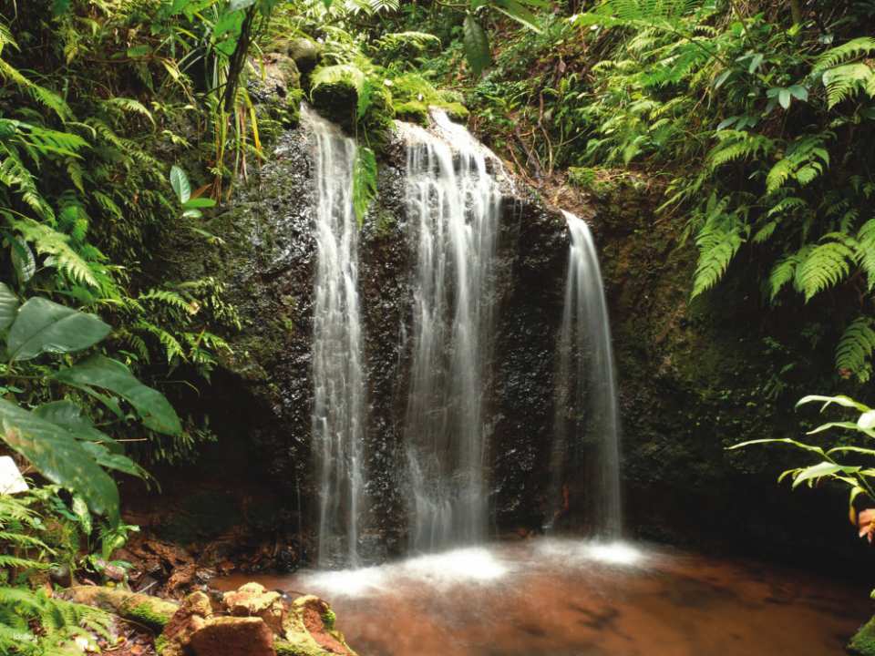 Paronella Park Entry Ticket | Queensland