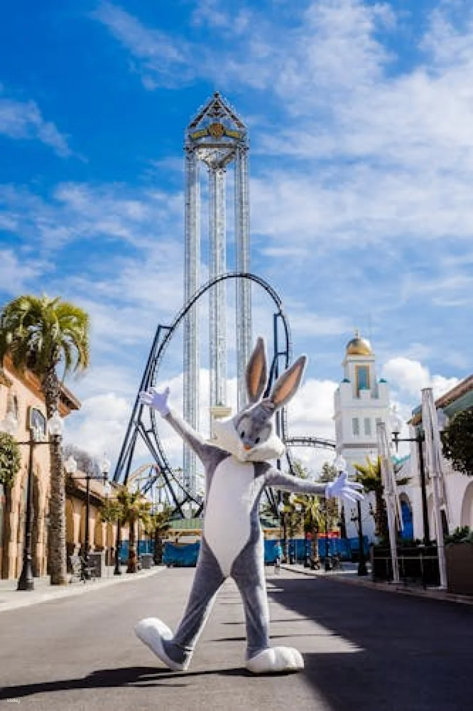 Parque Warner Madrid Entrance Tickets