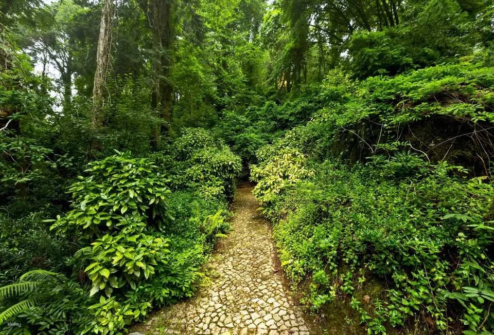 Pena Park Entry Ticket｜Sintra Portugal