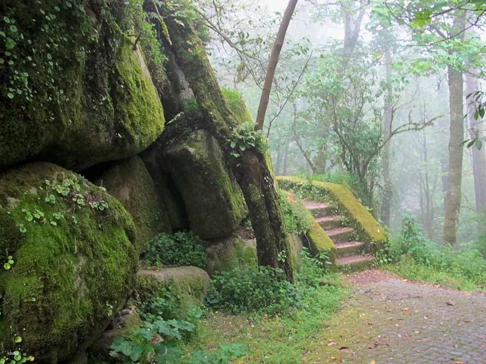 Pena Park Entry Ticket|Sintra Portugal