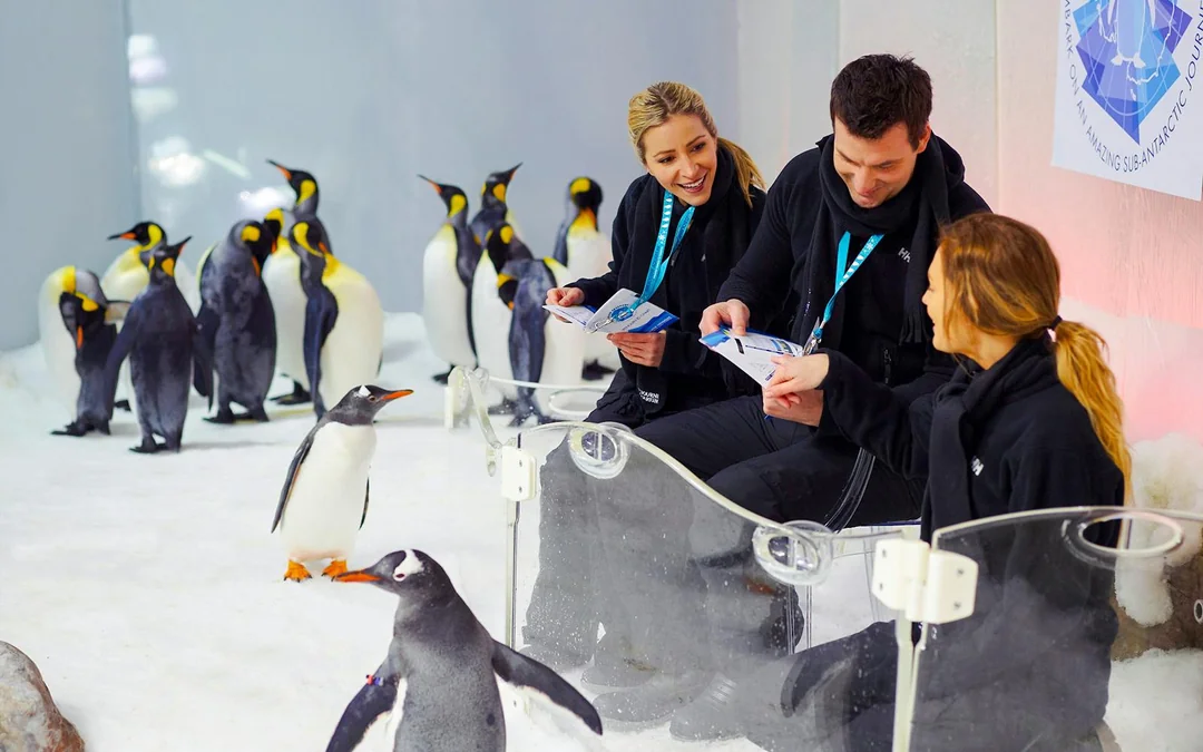 Penguin Passport Tickets: Guided Encounter at SEA LIFE Melbourne Aquarium Image 2