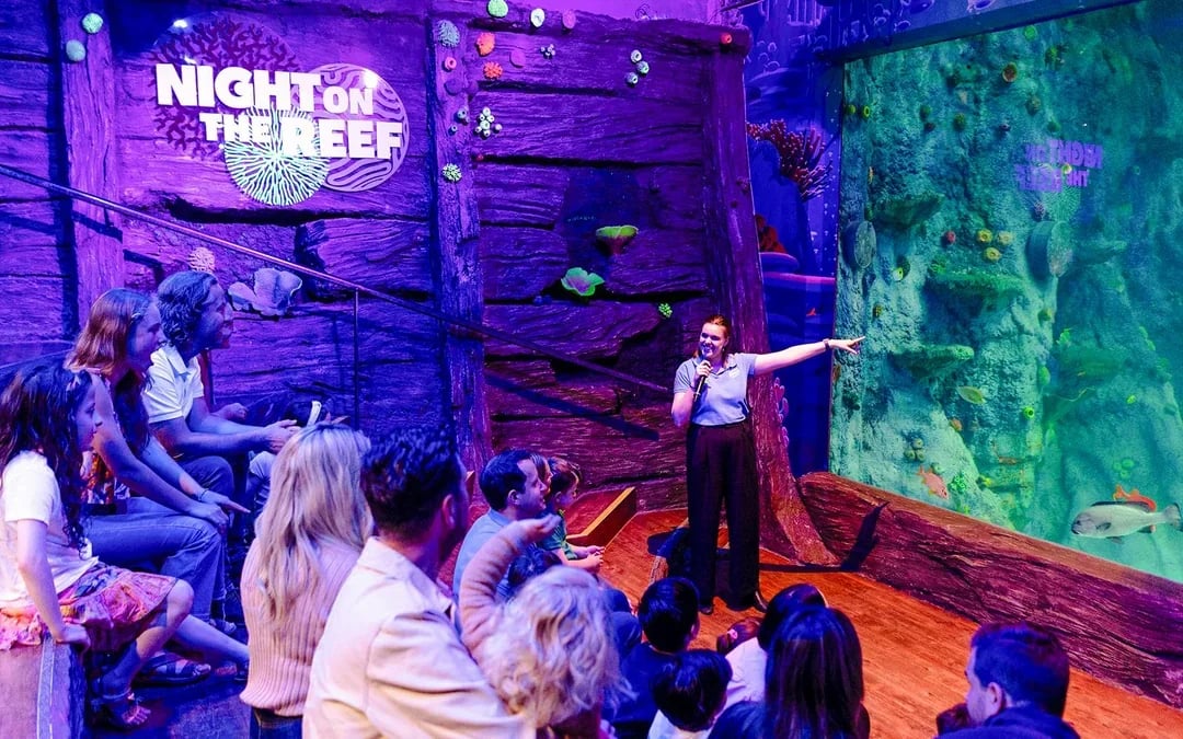 Penguin Passport Tickets: Guided Encounter at SEA LIFE Melbourne Aquarium Image 12