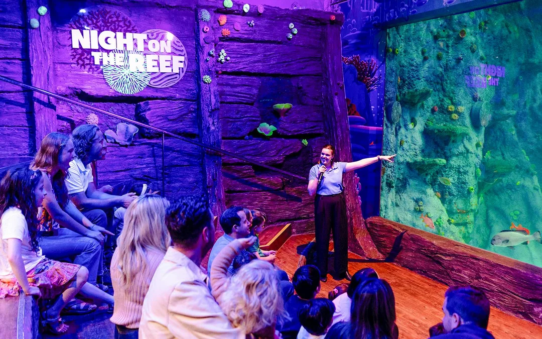 Penguin Passport Tickets: Guided Encounter at SEA LIFE Melbourne Aquarium Image 12
