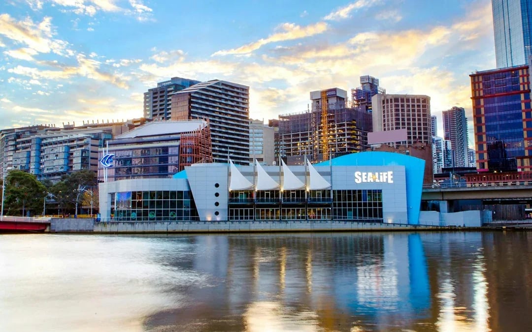 Penguin Passport Tickets: Guided Encounter at SEA LIFE Melbourne Aquarium Image 6