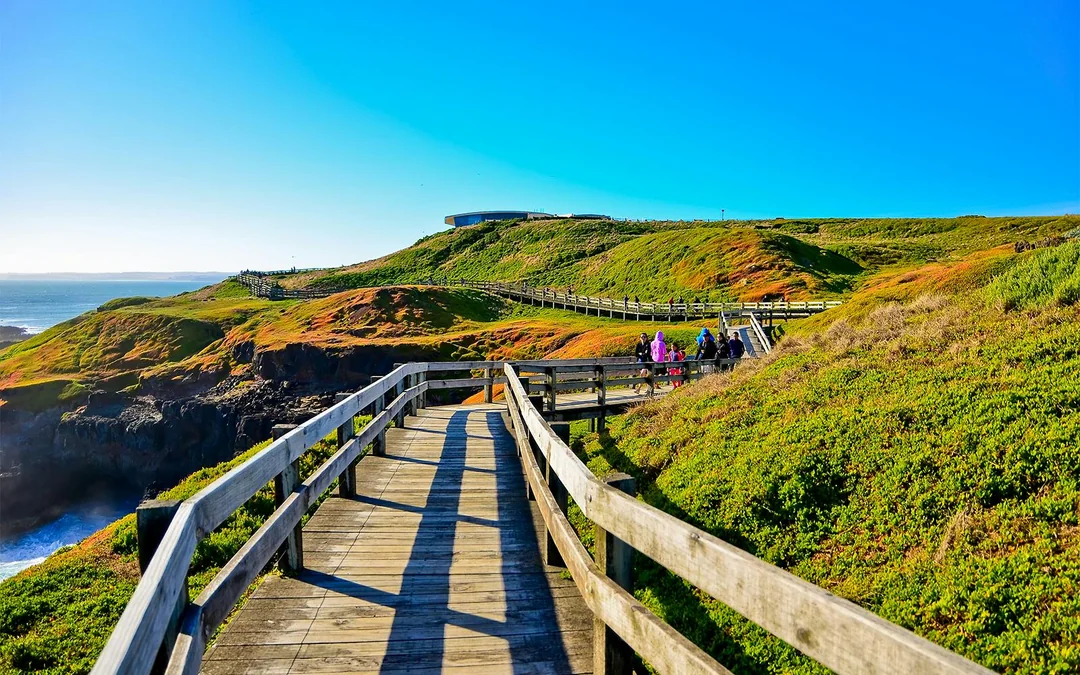 Phillip Island Nature Parks Penguin Parade Tickets Image 5