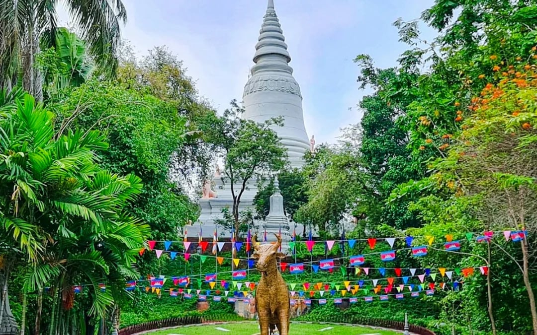Phnom Penh City Highlights Guided Tour with Hotel Pickup and Drop-Off Image 7