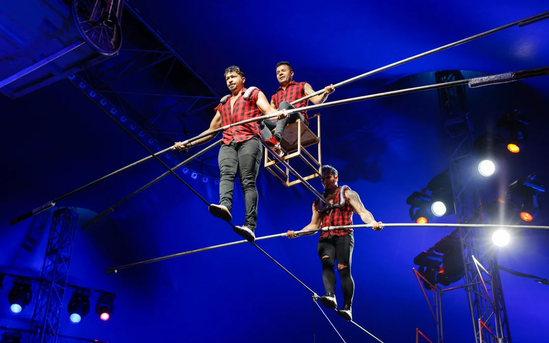 Phuket Circus Tickets Image 12