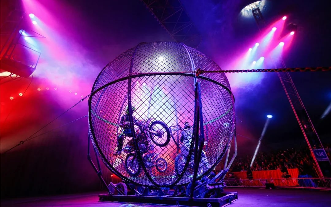 Phuket Circus Tickets Image 5