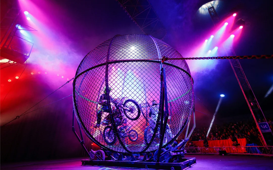 Phuket Circus Tickets Image 5