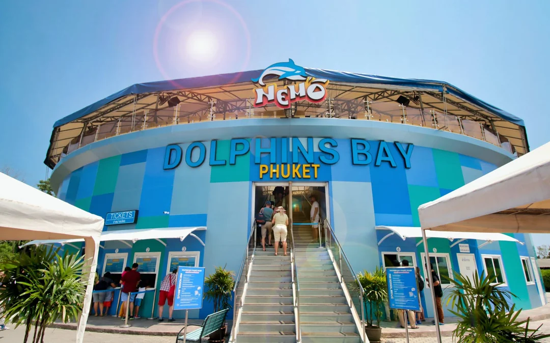 Phuket Dolphin Show Tickets: Foreigners Image 1