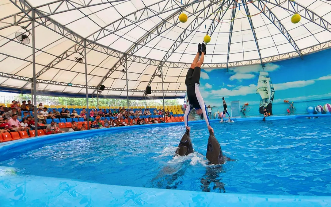 Phuket Dolphin Show Tickets: Foreigners Image 2