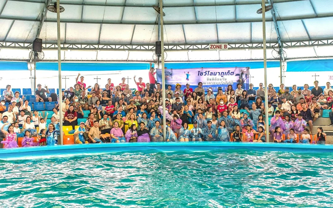 Phuket Dolphin Show Tickets: Thai Residents Image 3