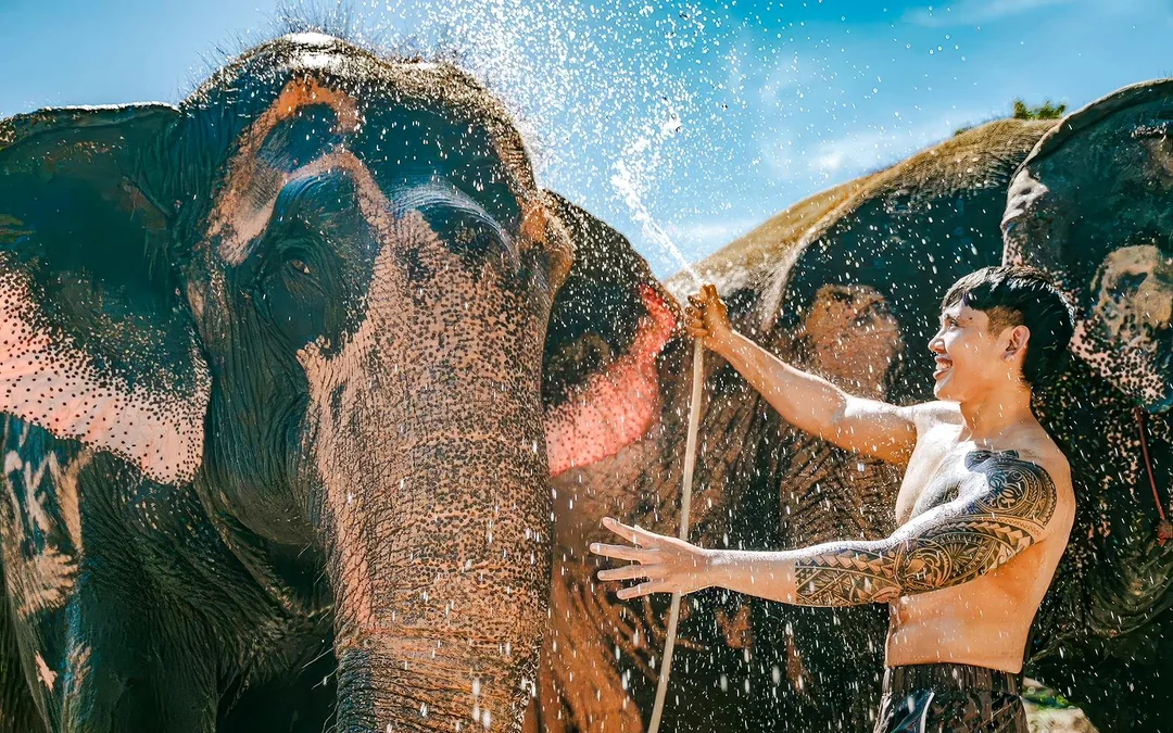 Phuket Elephant Care: Feed, Shower & Mud Spa Guided Tours with Optional Transfers Image 1