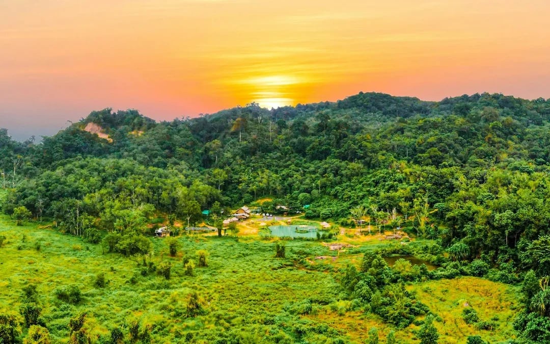 Phuket Elephant Care: Feed, Shower & Mud Spa Guided Tours with Optional Transfers Image 2