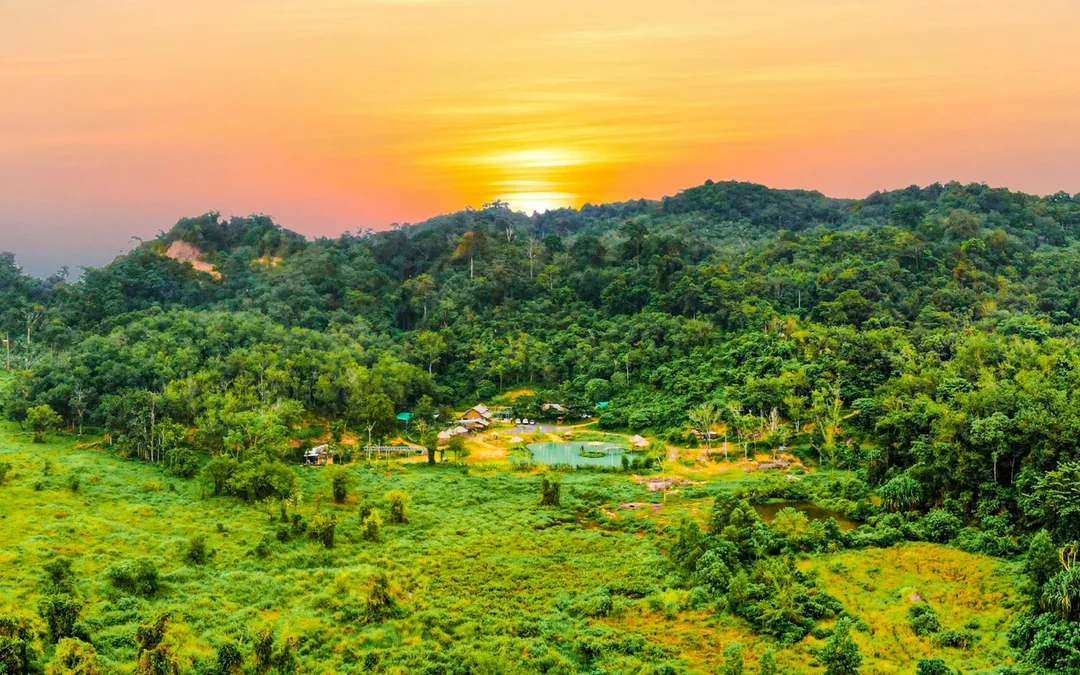 Phuket Elephant Care: Feed, Shower & Mud Spa Guided Tours with Optional Transfers Image 2