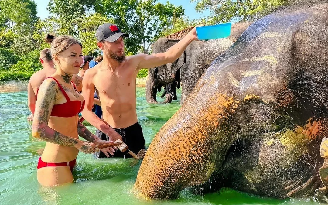 Phuket Elephant Care: Feed, Shower & Mud Spa Guided Tours with Optional Transfers Image 11