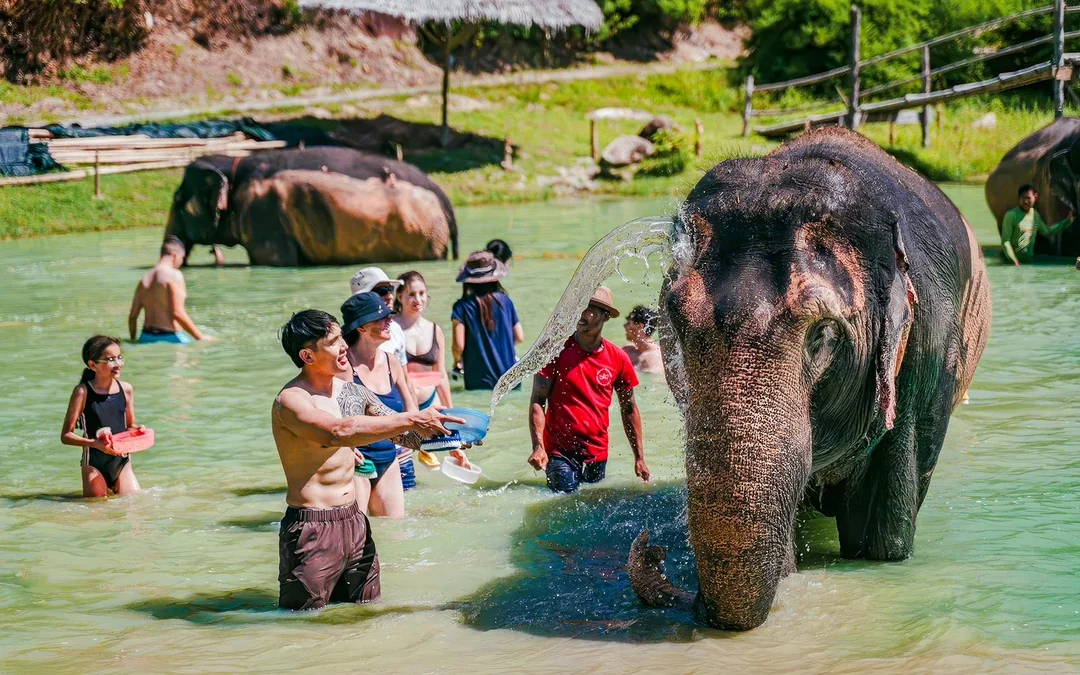 Phuket Elephant Care: Feed, Shower & Mud Spa Guided Tours with Optional Transfers Image 3