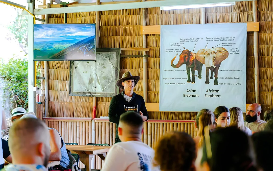 Phuket Elephant Care: Feed, Shower & Mud Spa Guided Tours with Optional Transfers Image 4